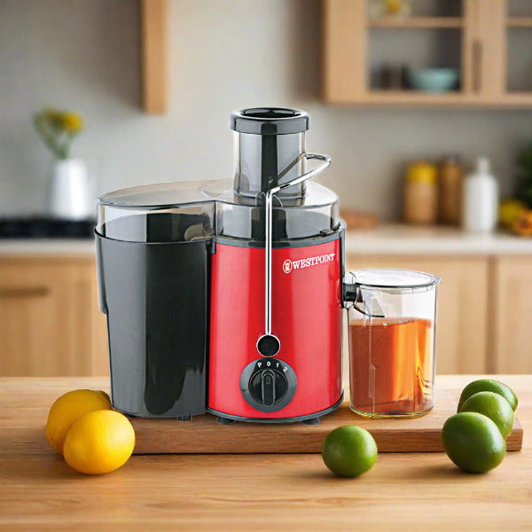 Top Tips for Selecting the Perfect Juice Extractor