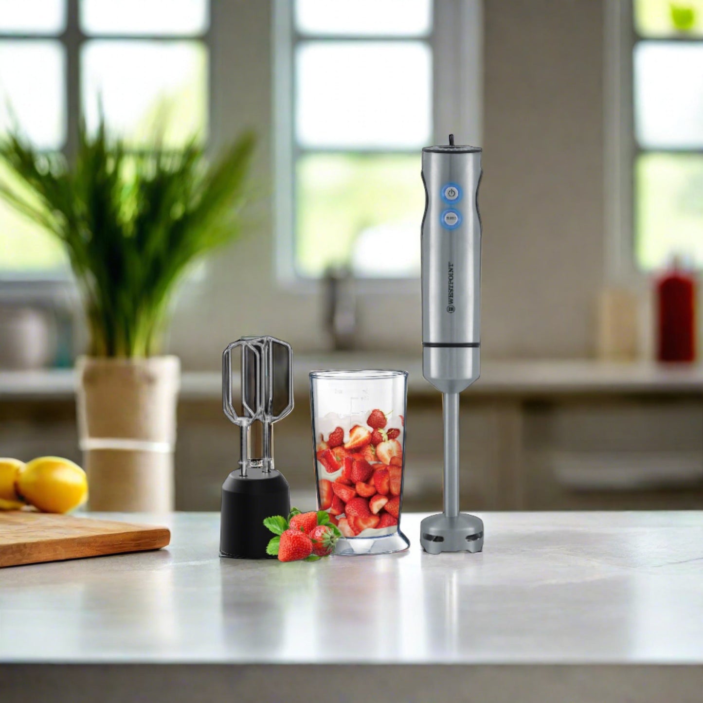 Hand Blender 2 in 1 WF-9935